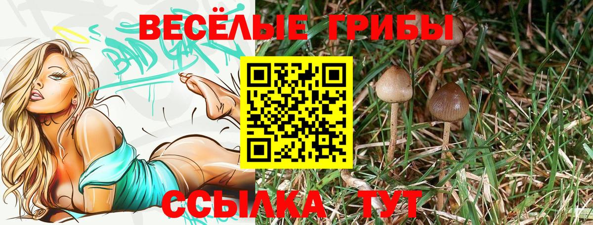 Псилоцибиновые грибы прущие грибы Мичуринск