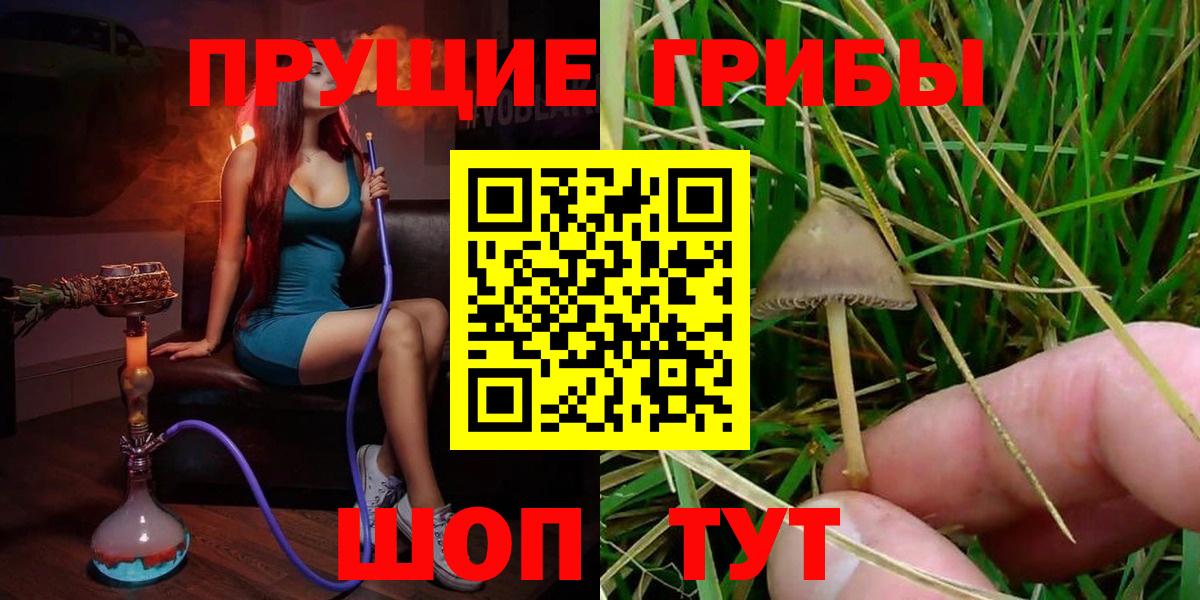 Мичуринск  Галлюциногенные грибы Psilocybe  Галлюциногенные грибы мицелий  Вход с VPN 